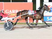 Bendigo's Louis Emerson scores his first driving win with a victory aboard the Mick Carbone-trained Chooz Reactor at Bendigo's Lord's Raceway on Friday night. Picture: CLAIRE WESTON PHOTOGRAPHY