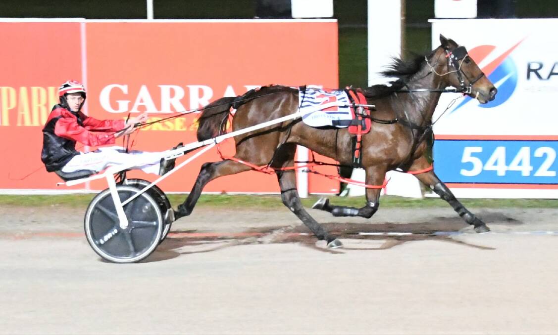 Bendigo's Louis Emerson scores his first driving win with a victory aboard the Mick Carbone-trained Chooz Reactor at Bendigo's Lord's Raceway on Friday night. Picture: CLAIRE WESTON PHOTOGRAPHY