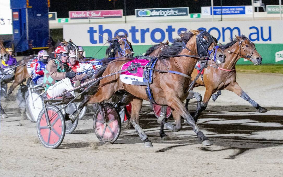 Michael Bellman steers Sundons Courage to a 60-1 victory in the Group 2 Breeders Crown Graduate Trotters Free For All at Melton on Friday night. The eight-year-old trotter is trained at Muckleford by Chris Angove. Picture: STUART McCORMICK