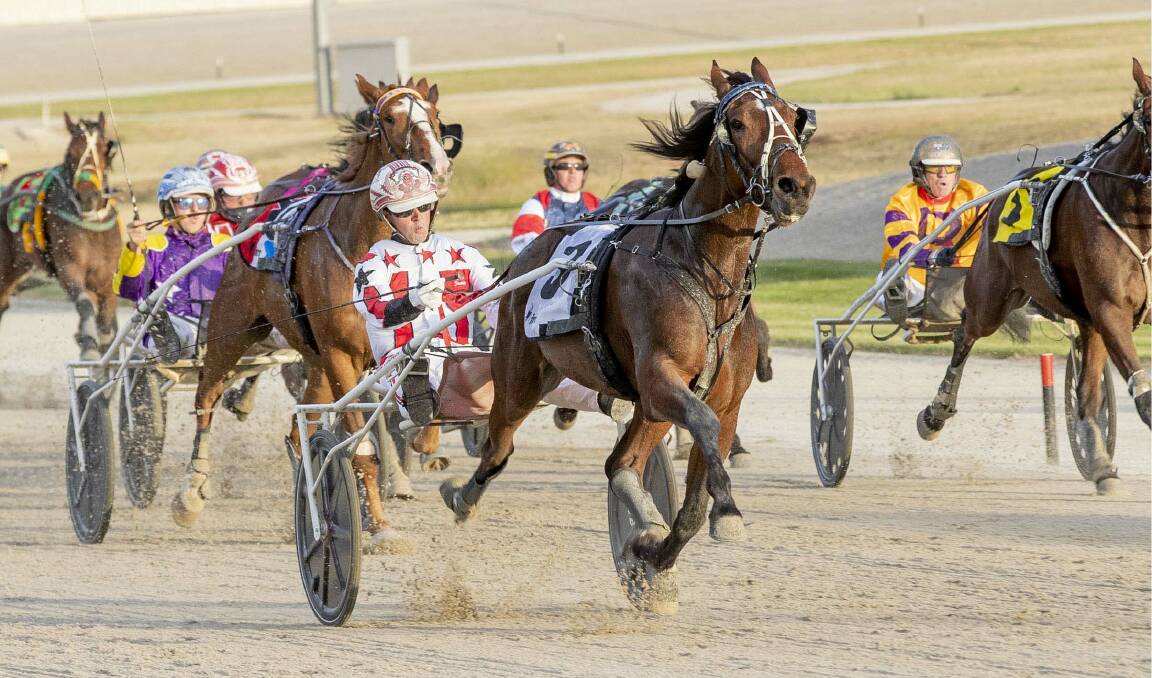 GALLANT: Dont Care, driven by Alex Ashwood (in purple and gold), chases home Watts Up Majestic in Saturday night's Breeders Crown final for two-year-old trotting colts and geldings. Picture: STUART McCORMICK