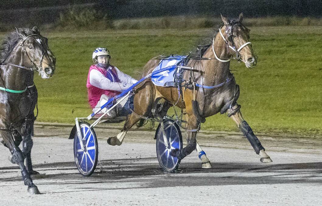 Major Jodi, driven by Daryl Douglas, flies home via the sprint lane to win at Terang on Saturday night. The Peter Cole-trained pacer has now won six of his 17 career starts.Picture: STUART McCORMICK