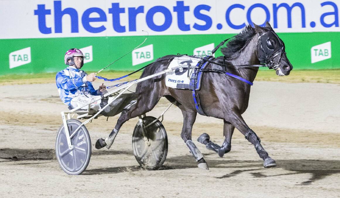 Ryan Duffy (not pictured) will drive Ebonys Avenger in the Group 1 Maori Mile on Saturday night. Picture by Stuart McCormick