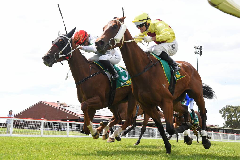 Zoutons (inside), ridden by Noel Callow, wins the Class 1 Handicap at Kilmore on Thursday. Picture: PAT SCALA/RACING PHOTOS