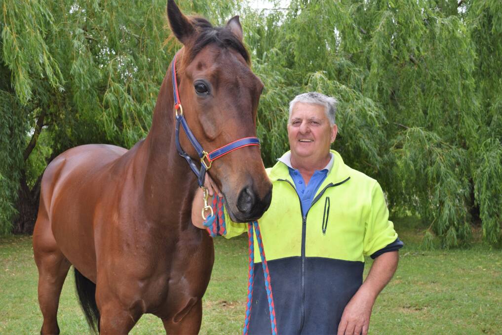 HOMETOWN HOPE: Trainer Keith Cotchin with his $10,000 Elmore Pacing Cup contender Brackenreid. Picture: KIERAN ILES
