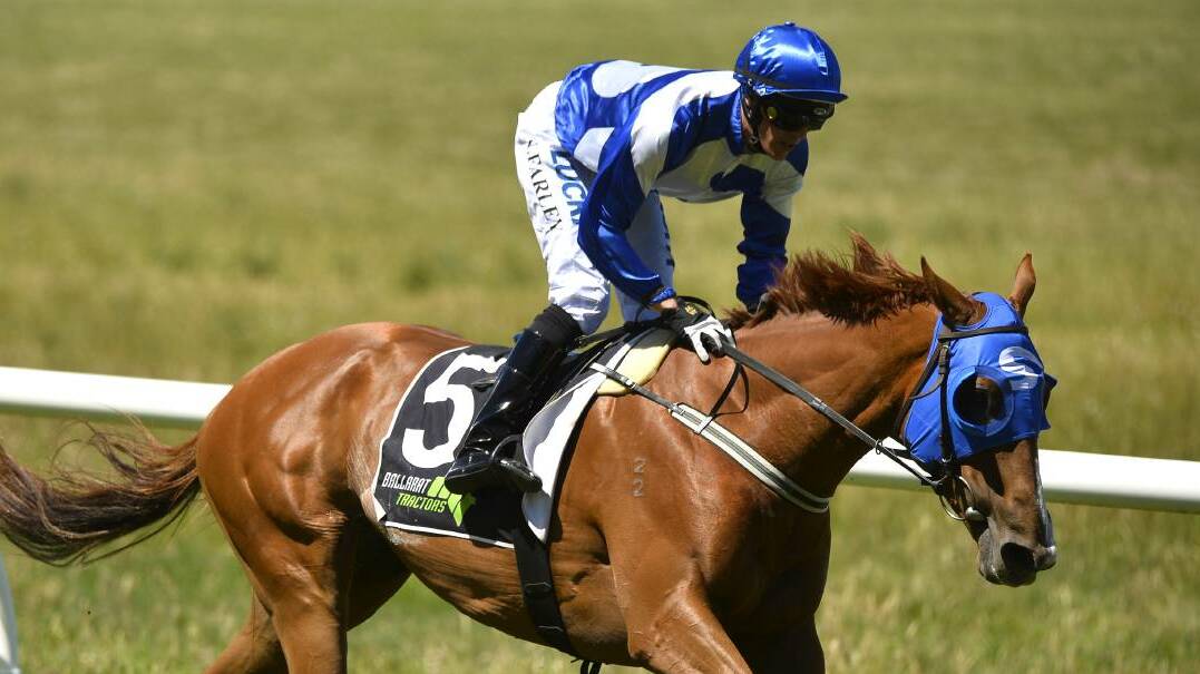 Get used to seeing the blue and white colours of trainer Nick Smart on the Bendigo Jockey Club track. Picture: DYLAN BURNS, THE COURIER