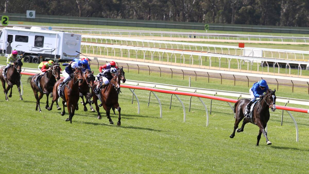  Francis Of Assisi blitzes his rivals in the Group 3 Bendigo Cup on Wednesday. icture: GLENN DANIELS
