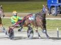 IN STYLE: Nephew Of Sonoko, driven by James Herbertson, wins the 2022 Group 3 Wagon Apollo Trotters Free For All (2150m) at Lord's Raceway last Saturday night. Picture: STUART McCORMICK
