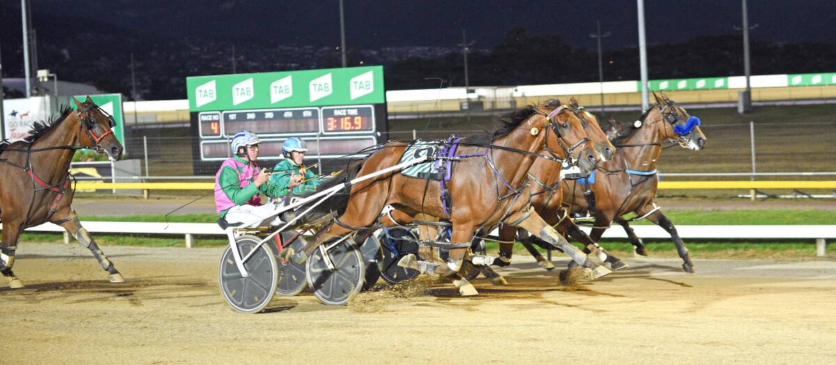 Alex Ashwood steers the Kate Hargreaves-trained Resurgent Spirit to victory in a heat of the Tasmania Pacing Cup in March. The gelding would go on to finish fourth in the final. Picture: STACEY LEAR PHOTOGRAPHY