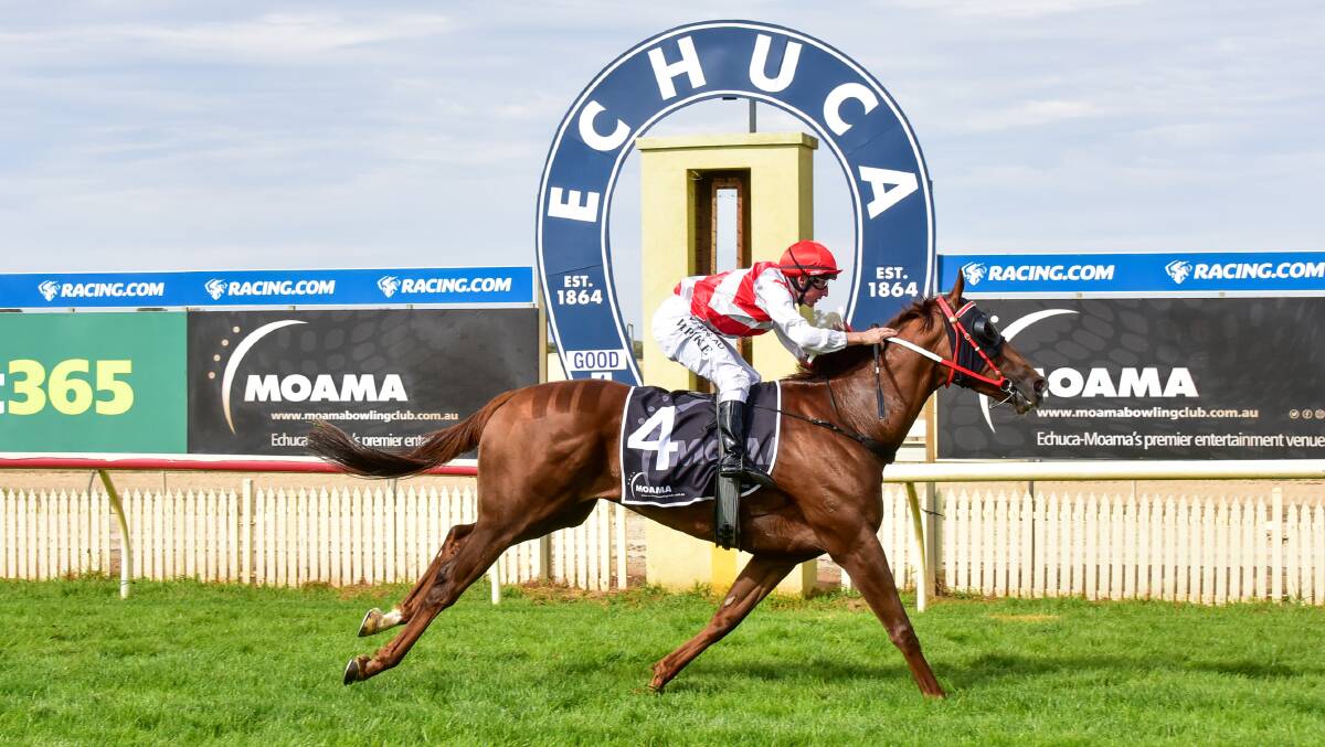 Hi Stranger, ridden by William Pike, wins the Moama Bowling Club Echuca Cup at Echuca on Sunday. Picture: BRENDAN McCARTHY/RACING PHOTOS