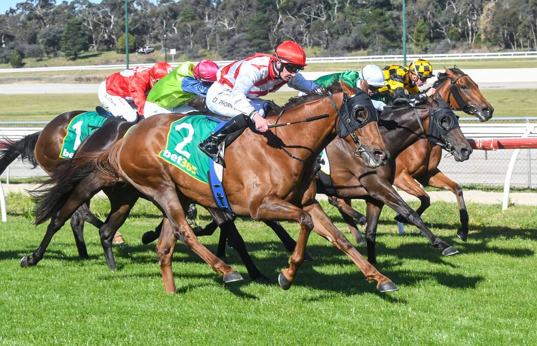 Hi Stranger, ridden by Damien Thornton, swoops to victory in the $160,000 Listed Kilmore Cup in November. The Shane Fliedner-trained gelding will have one last run for 2021 at Caulfield on Boxing Day. Picture: RACING PHOTOS: