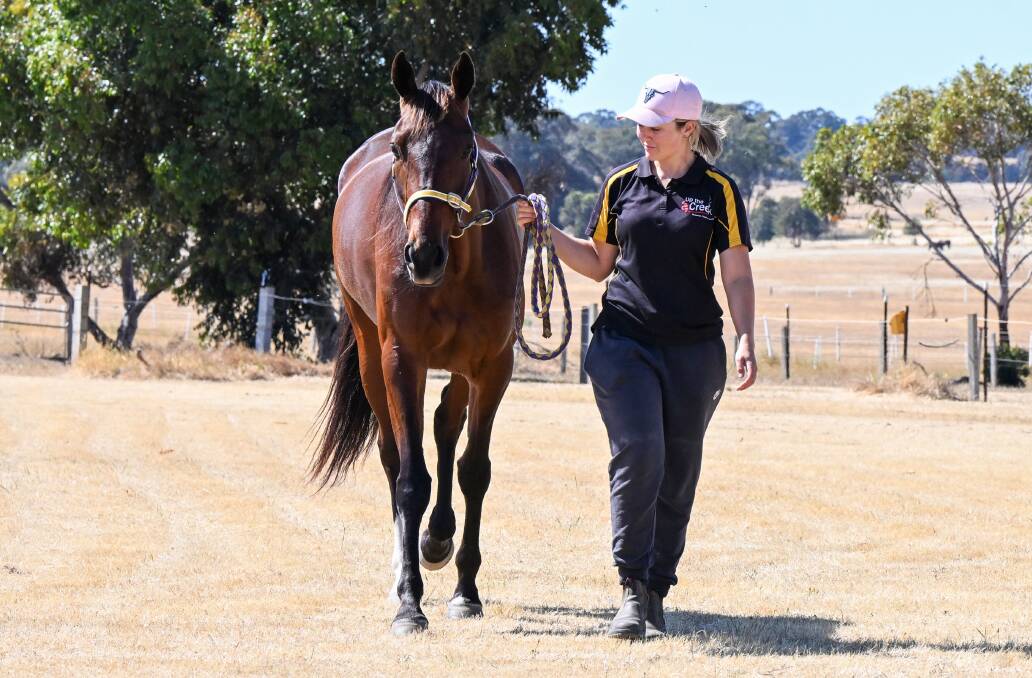 Kate Hargreaves with Ludacrous on the trainer's Shelbourne property this week. Picture by Darren Howe