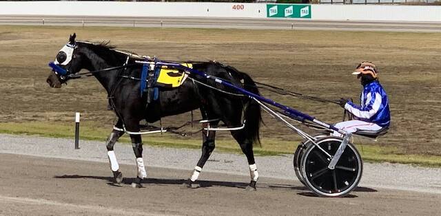Abbie Lincoln, driven by Jackie Barker, scored her maiden win at Stawell on Monday. Picture supplied