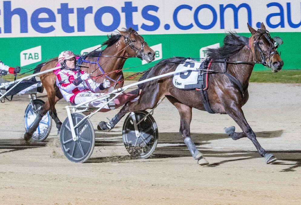WINNING STREAK: Chris Svanosio steers Norquay to victory at Tabcorp Park Melton last Saturday. The four-year-old has won her past three races since being transferred to the Junortoun stable. Picture: STUART McCORMICK