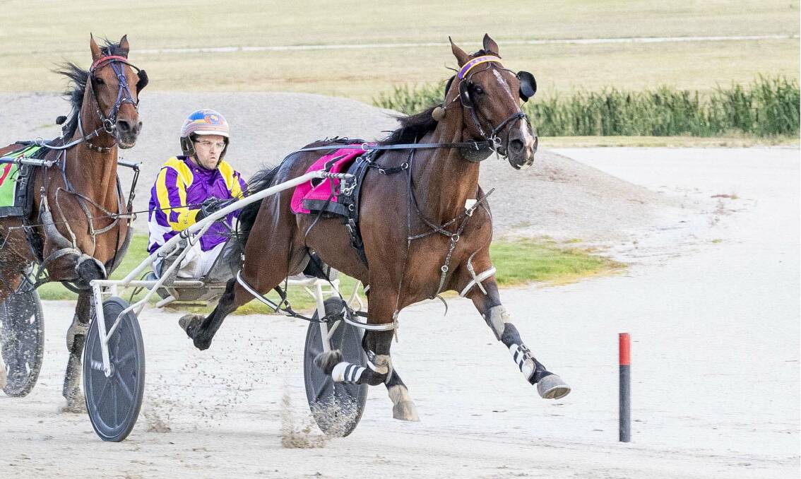 Ryan Duffy steers Maestro Bellini to victory in the first heat of the Gordon Rothacker Memorial Championship at Tabcorp Park Melton on Saturday night. Picture: STUART McCORMICK
