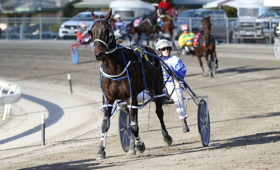 Ellen Tormey and Bernie Winkle continued their wonderful partnership on Friday night with their 16th win in 2021 and their 15th this season at Mildura's City Oval Paceway. Picture: CHARLI MASOTTI PHOTOGRAPHY