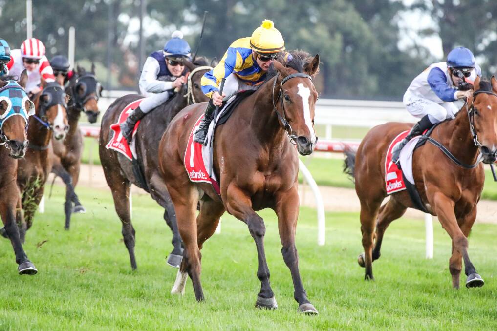 Metro Boy, ridden by Daniel Stackhouse wins the Moe Parklands Motel BM64 Handicap at Moe on May 19.Picture: LEONIE GRBIC/RACING PHOTOS