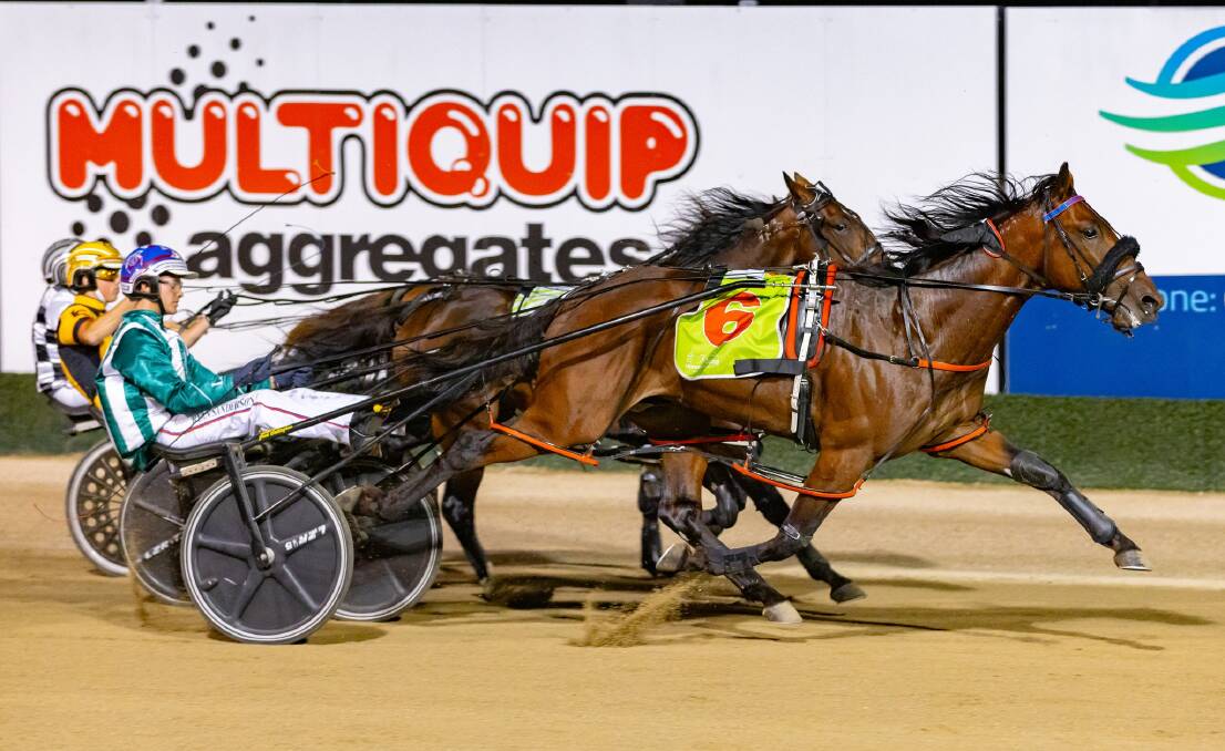 Ryan Sanderson steers Catalpa Rescue to a stirring New South wales Derby heat win last Saturday night at Tabcorp Park Menangle. Picture courtesy of Racing at Club Menangle