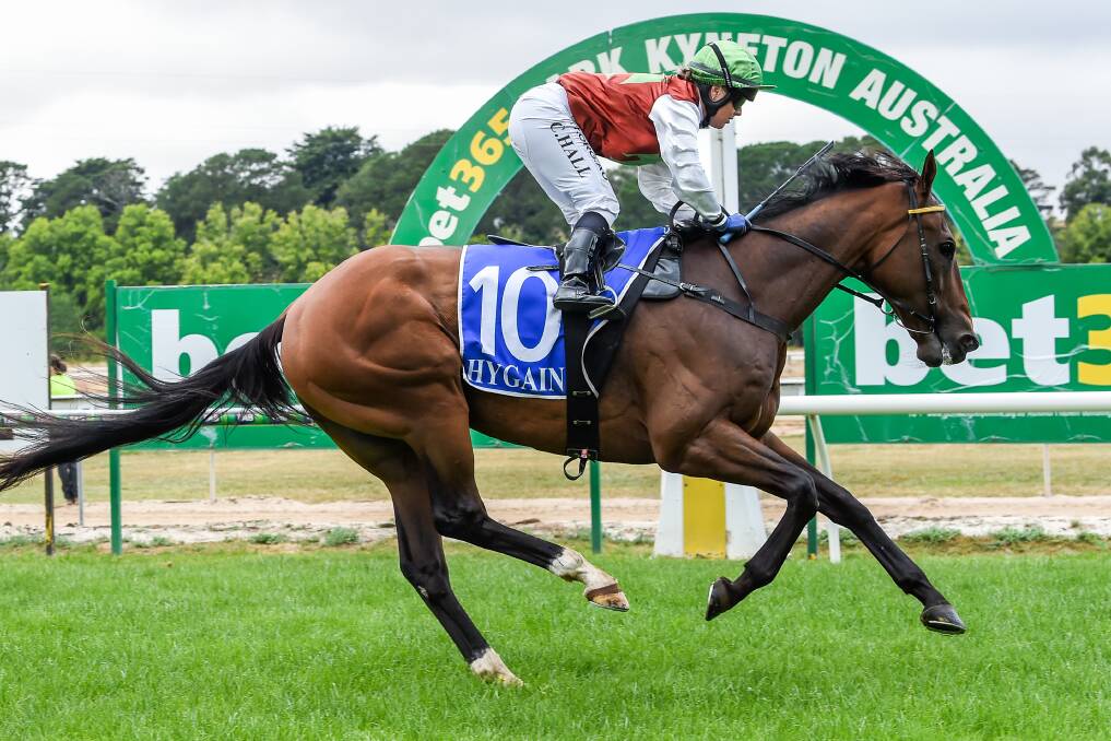 TOUGH AS NAILS: Kinjulator, ridden by Chelsea Hall, wins at Kyneton on Monday. Picture: RACING PHOTOS