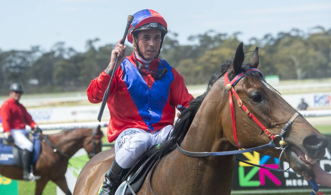 Jockey Dean Holland returns to the mounting yard aboard Carlingford, after the tough gelding's 1100m win on Bendigo Cup day. Picture: DARREN HOWE