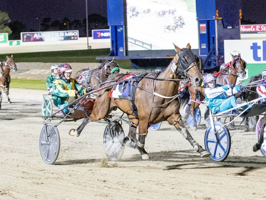 LATE SURGE: Tayla French steers the Ross Graham-trained Animated to an impressive victory at Tabcorp Park Melton on Saturday night. It was the gelding's second win at Melton in six days. Picture: STUART McCORMICK