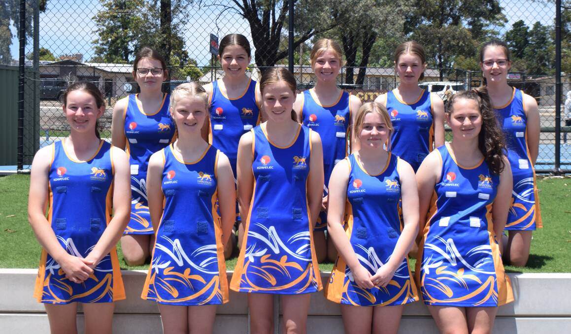 GRATEFUL FOR THE OPPORTUNITY: Harcourt's 14-and-under grand final netball team. Picture: KIERAN ILES