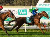 Surin Beach, ridden by Damien Thornton, chases home Hard Squeeze, ridden by Ethan Brown, at Bendigp on Sunday. Picture: JAY TOWN/RACING PHOTOS