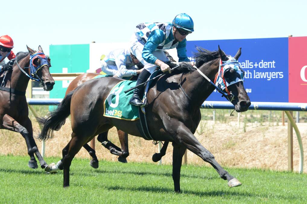 The Mick Sell-trained Boho Miss, ridden by Daniel Stackhouse, breaks her maiden at Benalla on Sunday. Picture: ROSS HOLBURT/RACING PHOTOS