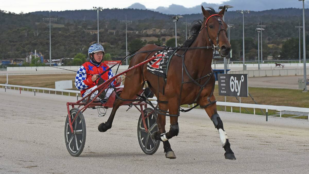 Trainer Aaron Bain is targeting the Devonport Pacing Cup with Ideal World, who is pictured at Launceston. Picture: STACEY LEAR PHOTOGRAPHY