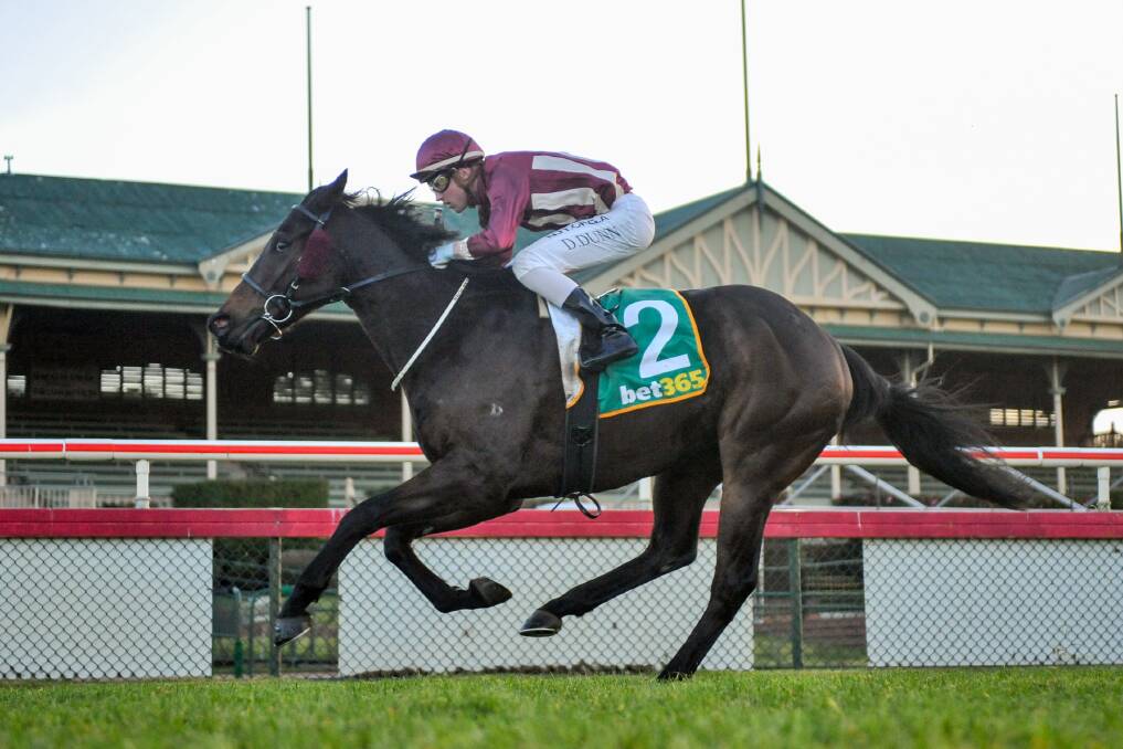 THREE IN A ROW: Tatunka, ridden by Dylan Dunn, wins at Bendigo on June 21. Picture: RACING PHOTOS