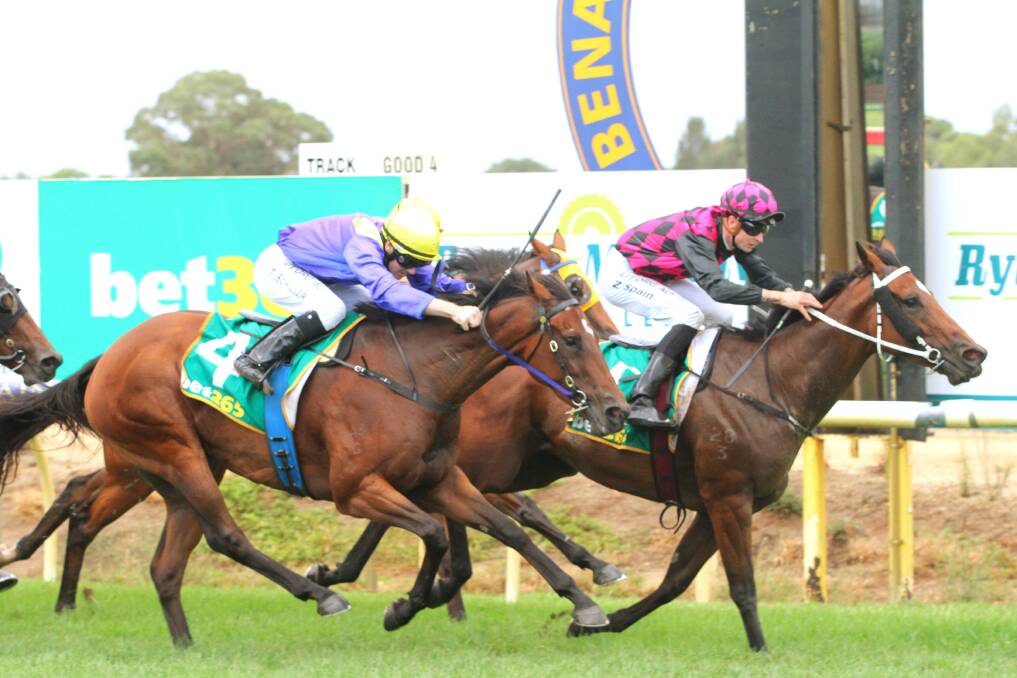 She's Benficial, with Zac Spain in the saddle, surges to victory at Benalla on Tuesday. Picture: DAVID THORPE/RACING PHOTOS
