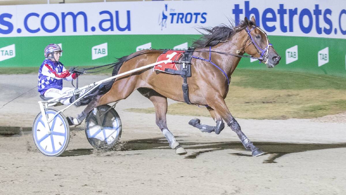 The Andy Gath-trained McLovin is the reigning Bendigo Trotters Cup champion, having won the Group 3 race in 2019. Picture: STUART McCORMICK