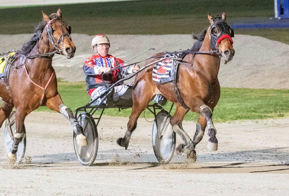Longlea trainer-driver Matthew Gath will target another Melton success with Ball Park. Picture: STUART McCORMICK