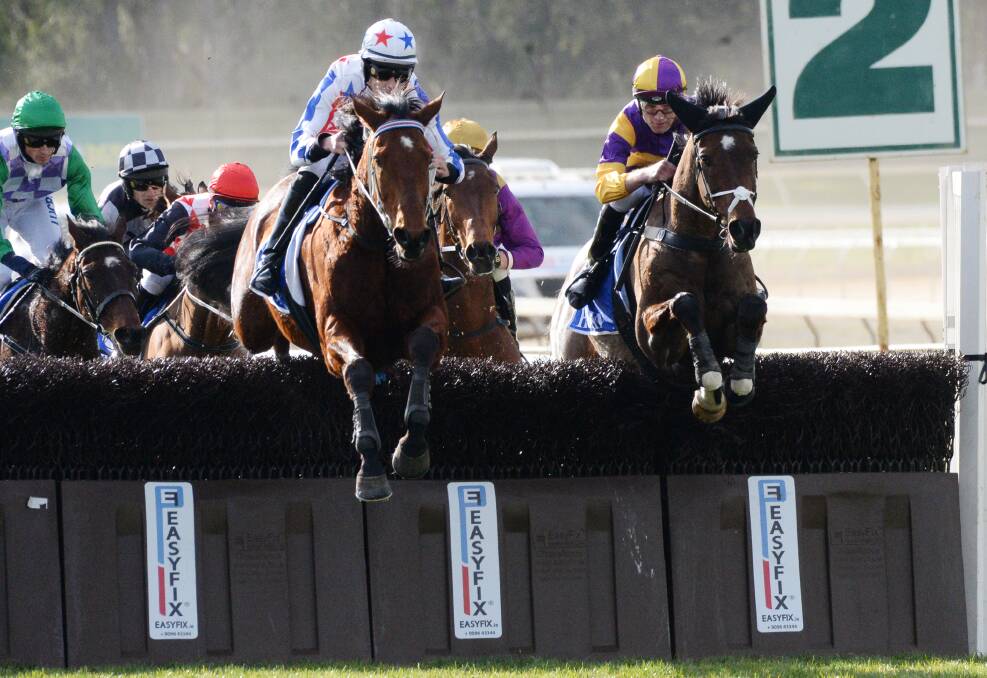 Something to Share negotiates an obstacle on the first lap of Sunday's $100,000 Mosstrooper Steeplechase at Bendigo racecourse. The 10-year-old gelding was euthanised after a fall on the second last jump. Picture: DARREN HOWE