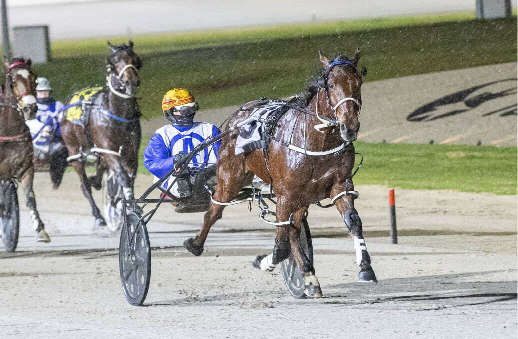ONE HUNDRED UP: Interest Free, driven by Jack Laugher, charges to victory at Tabcorp Park Melton on Saturday night. The two-year-old pacer notched his third-straight win and delivered trainer Julie Douglas her 100th winner of he 2021 Victorian harness racing season. Picture: STUART MCCORMICK