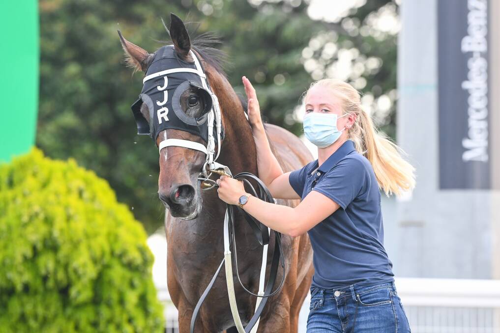 Wellsford after breaking through for his maiden win at Cranbourne last Friday. Picture: NATASHA MORELLO