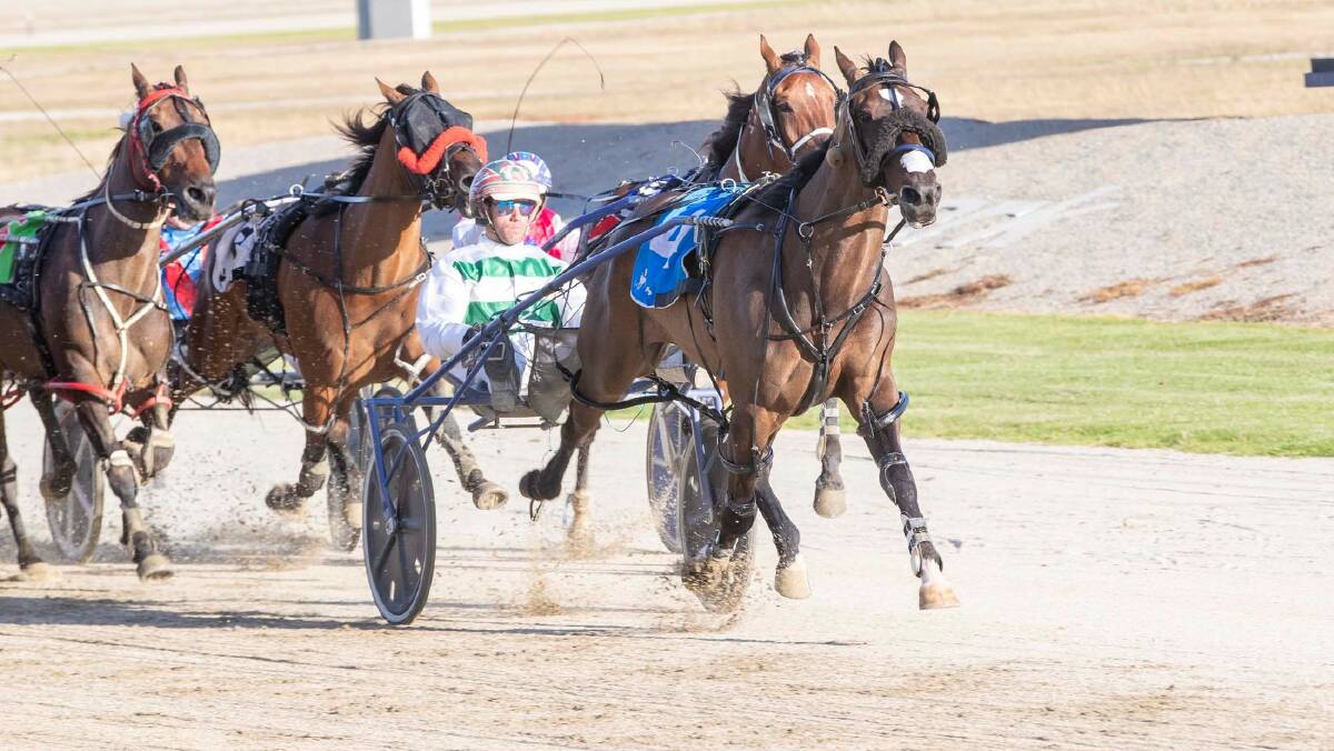 Keith Cotchin lands the first leg of a winning double with Rocknroll Noah, driven by Greg Sugars. Picture: STUART McCORMICK