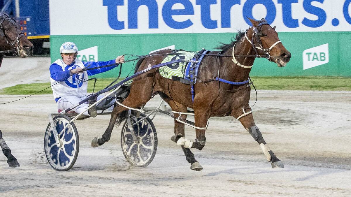 The Julie Douglas-trained Would You Mind, driven by Glenn Douglas, wins at Tabcorp Park Melton on Saturday, May 8. The Strathfieldsaye trainer has notched up an incredible 14 wins during the month of May. Picture: STUART McCORMICK/HARNESS RACING VICTORIA
