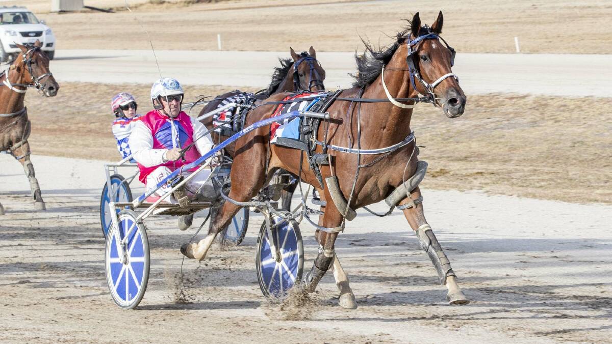 Major Jodi, trained and driven by Glenn Douglas, notches career win number nine at start number 32 on Saturday night. Picture: STUART McCORMICK PHOTOGRAPHY