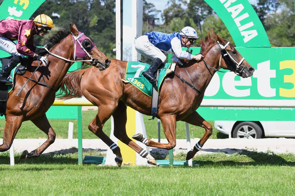 Lavrovsky, ridden by Jarrod Fry, wins the bet365 Odds Drift Protector Benchmark 58 Handicap at Kyneton on Monday. Picture: PAT SCALA/RACING PHOTOS