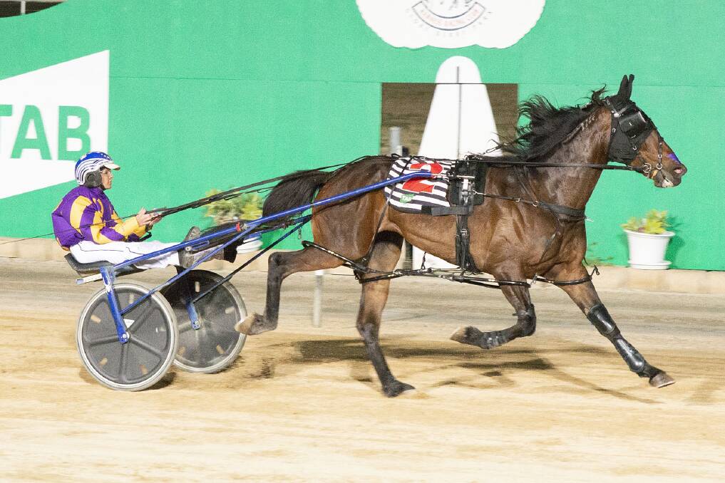 Belladonna Girl, driven by Danielle Hill, wins the Group 2 Southern Cross Series Final at Globe Derby last December. Picture: WALTER BULYGA/ARCLIGHT PHOTOGRAPHY 