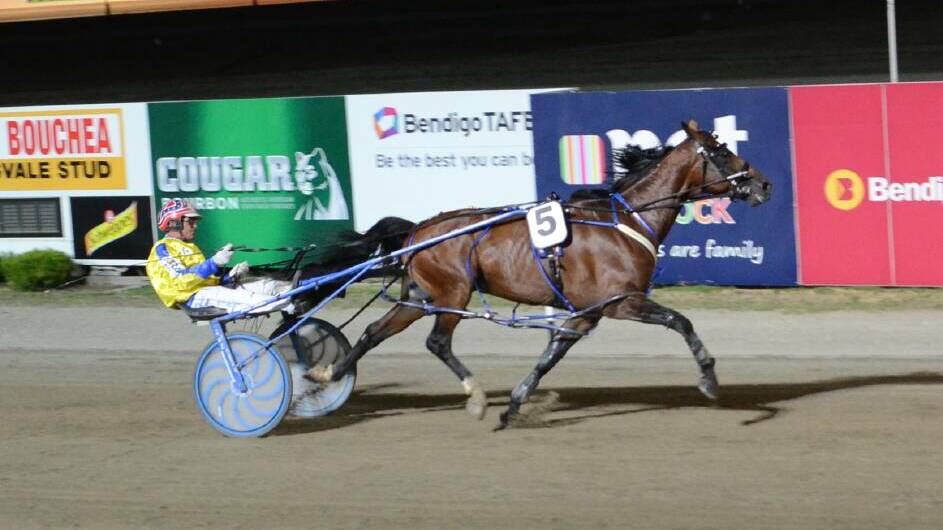 Lennytheshark wins the Bendigo Pacing Cup. Picture by Geoff Dunn