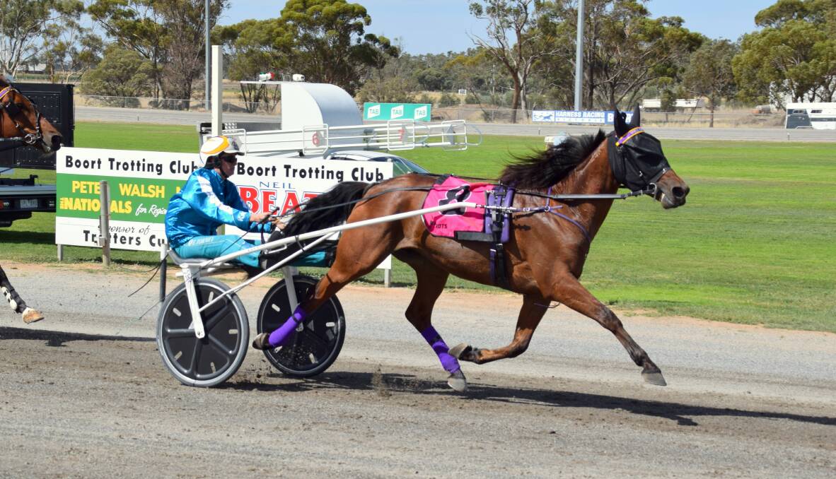 TERRIFIC IN TEAL: Bendigo's Ellen Tormey led all Victorian female drivers in steering home a winner during last season's Team Teal campaign, finishing the six-week period with 21 winners. Four of them came aboard the Kate Hargreaves-trained Well Defined.
