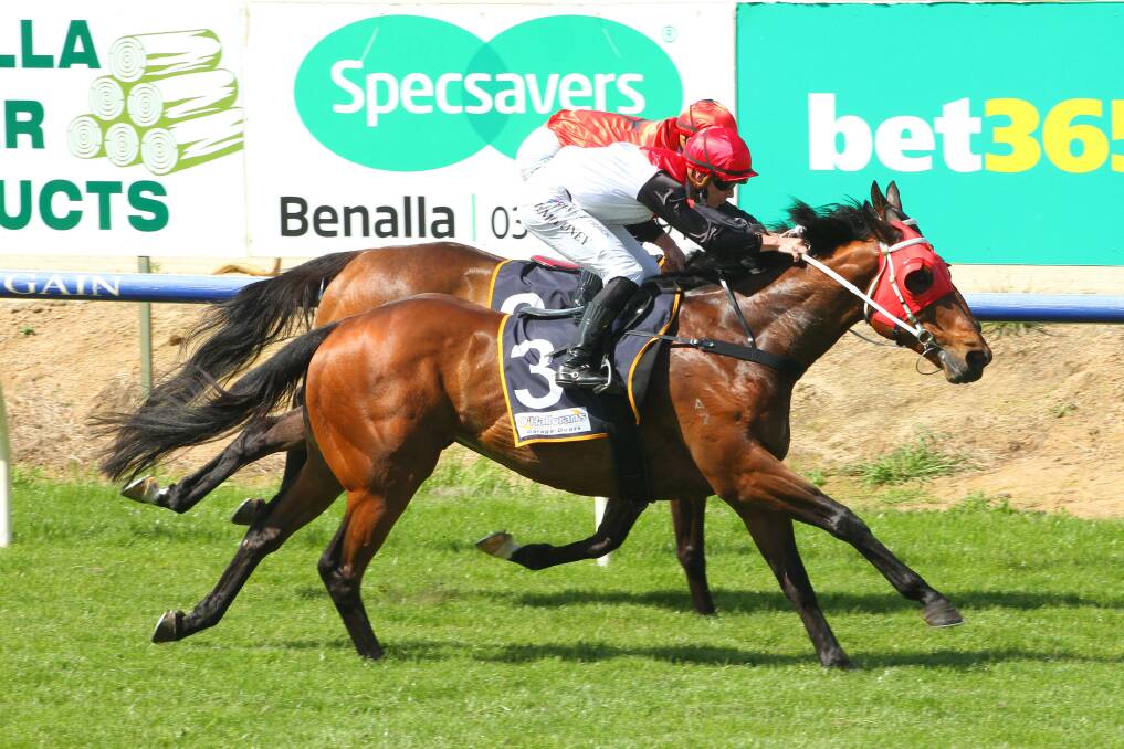Haystacks Calhoun, ridden by Patrick Moloney and trained by Kyneton's Danielle Chapman, wins the C. A. Sinclair Pork Wholesalers Benchmark 58 Handicap at Benalla omn Friday. Picture: DAVID THORPE/RACING PHOTOS
