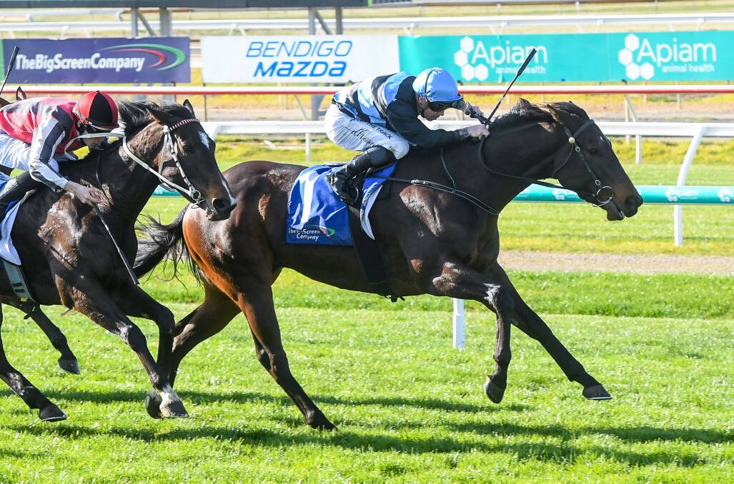 BREAKING THROUGH: Albiton, ridden by Dean Holland,wins for Kyneton trainer Sue Naylor at Bendigo on Thursday. Picture: RACING PHOTOS