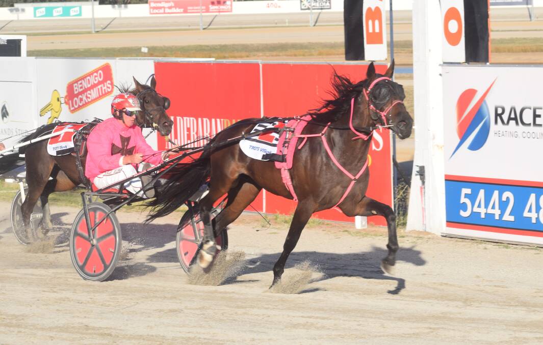 Michael Bellman steers the Brett Shipway-trained Black And Gold to victory in the first heat of the Lyn McPherson Memorial Breed For Speed Bronze Series at Lord's Raceway on Thursday. Picture: KIERAN ILES