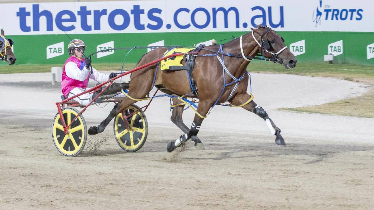 Jack Laugher steers Wotchawaitingfor to victory in the www.the bigscreencompany.com.au Pace Final (C1 class only) at Tabcorp Park Melton on Saturday night. Picture: STUART McCORMICK