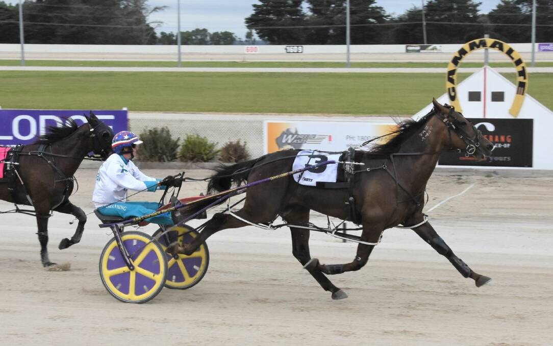 Apieceoflou, driven by Kerryn Manning, wins the Pat Bellman Memorial Pace at Terang in February this year. Picture: CLAIRE WESTON PHOTOGRAPHY