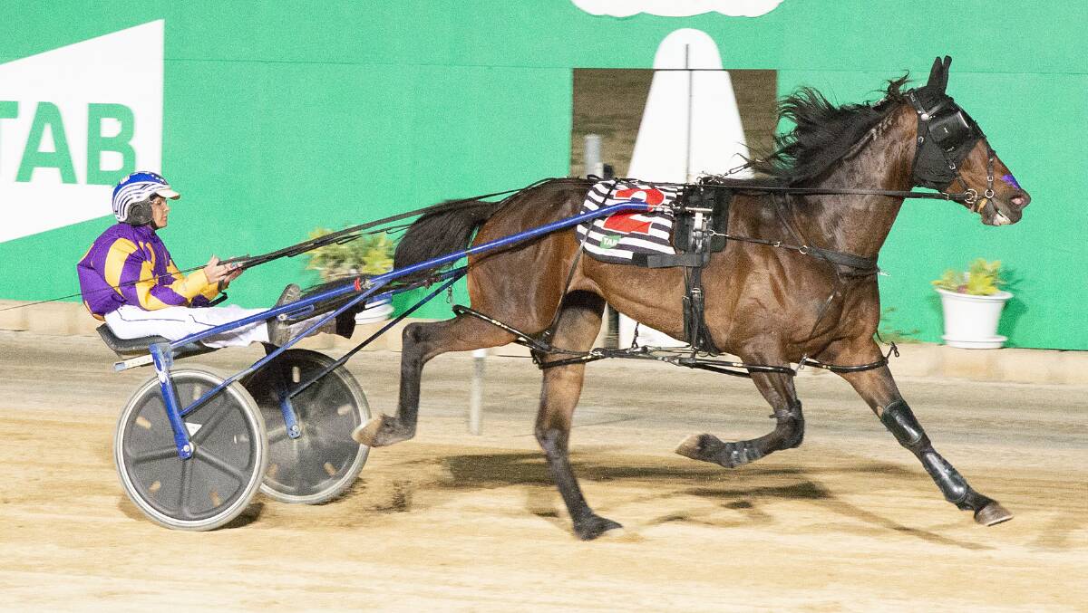 Belladonna Girl, driven by Danielle Hill wins the Group 2 Southern Cross Series Final at Globe Derby on Saturday. Picture: WALTER BULYGA/ARCLIGHT PHOTOGRAPHY 