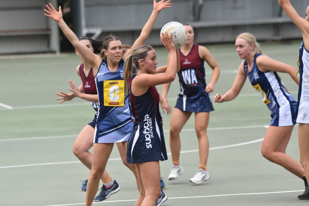Shae Clifford has been in good touch early in the season for an equally in-form Sandhurst. Picture: NONI HYETT
