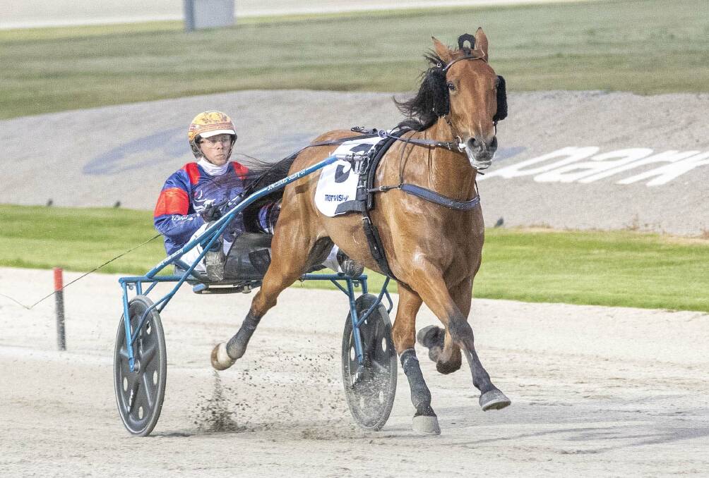 Bendigo's Jack Laugher steers Im Ready Jet to Breeders Crown success at Tabcorp Park Melton on Friday night. Picture: STUART McCORMICK
